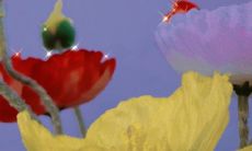 这么甜蜜撩人的早安句子,简直令人陶醉!