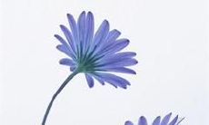 分享一些打动心灵的亲情回忆句子和表达内心感受的短语