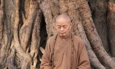 五十句来自净慧长老的禅语,会让你的内心变得更加智慧和平静 (第四篇)