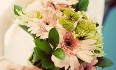 探寻寸草春晖的亲情之美:描绘温馨的句子汇集