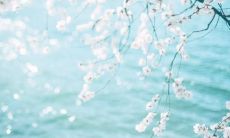 四口之家的亲情之情：言简意赅的感人句子