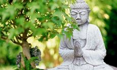 20条佛家禅宗箴言，助你成为更好的人(第四篇)