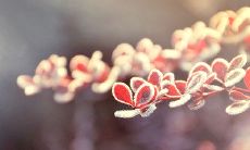 我们团结一心、不畏艰难，勇往直前，超越自我，以团队的荣誉为己任！