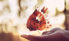 令人唏嘘的伤感句子：那些没有实现的缘分和未曾拥有的情感之痛