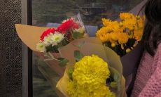 用于表白和恋爱的传统俚语和俗语