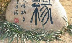 汇集的有关缘的爱情句子，让你重新认识爱情的玄妙和缘分的神奇