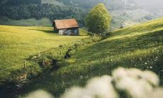 如何打造引人注目、独特而具有号召力的房地产销售会议口号?