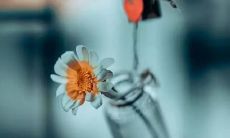 我的班级的8个字的口号是什么?