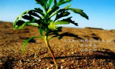 揭秘第一名选手令人震撼的、强大的、令人印象深刻的口号！