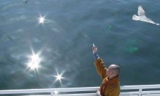 探寻慈悲境界:20句海涛法师引领我们深入体悟慈悲哲理的禅语