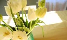 让你的房产梦成真-选择多样的房产销售方案，快速、有效、卓越的销售服务，助你轻松成为业主！