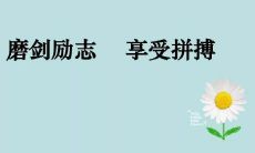 请问超人队成员都有哪些标志性口号和口号内涵?