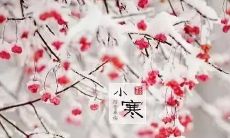享受小寒节气美丽的瞬间：一系列精美唯美的小寒节气图片和心灵感悟，还有值得分享的小寒发圈句子！