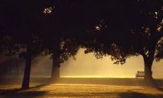 感到失望且心情沉重，对父亲的信任与期望被彻底破灭的表达