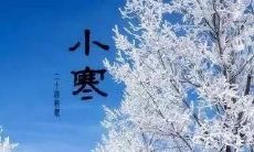 记述小寒期间温暖的文字描述