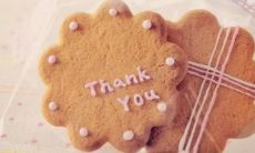 展现感恩精神的积极句子，彰显正面能量