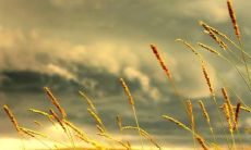 唯美的句子,用于回忆友情的美妙岁月