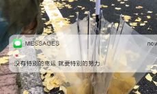 二月份的句子推荐：适合在社交媒体发朋友圈的文艺句子和静谧诗句，恰到好处地表达你的情感和心境！