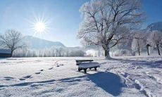 寒冬时节,为朋友圈撰写温馨句子,传递暖暖的心意和祝福