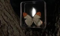 唤醒你内心深处情感的网易云催泪文案与让你陷入爱情情境的网易云热评短句