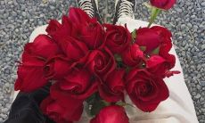 在抖音上广受欢迎的秀恩爱短视频:低调撒狗粮,深度揭示现代爱情观与生活态度的变化趋势