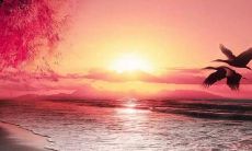 掏心掷地表达内心痛楚之情——谈论心疼老公辛苦工作的个人感受