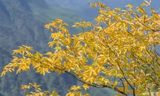 2021年牛年来临，公司喜迎新春，展现出牛气十足、乘势而上的姿态