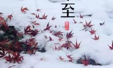 在冬至时刻，用温暖人心的句子来庆祝最长的黑夜和短暂的日光，增添节日氛围的同时也寄托着人们的美好祝愿