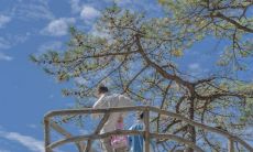 在牛年，我们祝愿公司蒸蒸日上，获得更多的成功和成就！