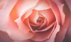 感受古籍中唯美、深刻的生死亲情：倾听历史长河中唤醒情感的句子