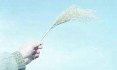 与亲密好友共度欢乐时光的激动人心的句子