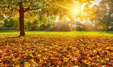 秋日天气的变幻无常,我们来给亲友送上问候短信吧!