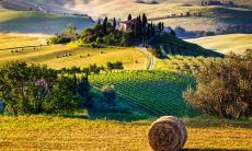 错失早日相遇的悔恨：我多么希望早些拥有你