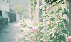 在工作中感到压抑和焦虑？一些表达内心感受的句子和短语来舒缓情绪！