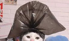 探究开心果分享的一系列令人开心的语句,让你欢乐无比!