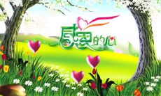 一些令人感恩的亲情句子,表达对父母的感激之情