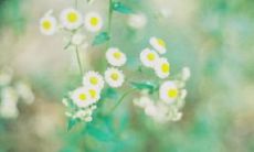 在寒冬时节，发表柔情短语的朋友圈是一种极佳的选择