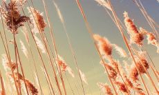 名人名言助力爱情励志，鼓舞人心的经典引言汇编