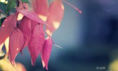 500+ 适用于企业及个人成功的励志名言与格言大全