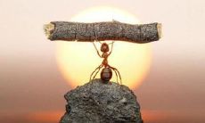 富有魄力的2021团队鼓励口号，赋能团队以超越极限的能力！