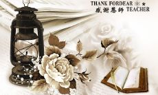 一篇关于用绝美词句歌颂老师的文章