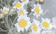 从冷漠到温情:探索冷酷文案的背后转变之路