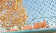 探索抖音共鸣走心文案的奥秘：揭秘如何用妙笔生花打造令人动容的短视频文案！