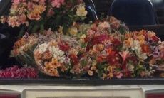 用心撰写的高品质励志短语能够激发鼓励人们走向成功之路