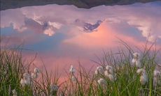 2022年预测火爆的文案趋势:揭示最能吸引目光、引发共鸣的创意营销策略!