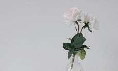 凝练亲情之离别的深邃情感,品味唯美动人的文学句子