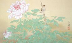 众声赞美牡丹之美，汇编丰富多样的赞美句子大全，颂扬这种蕴含着高雅与华贵的花卉的无尽魅力