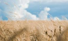 探秋分之美——感受最优美动听的秋分句子