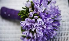 立夏时节经典祝福语，表达心中温馨和美好的祝愿！