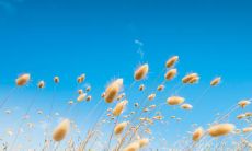 「闪耀在盛夏的阳光下，美丽短句唤醒心灵唯美情感」